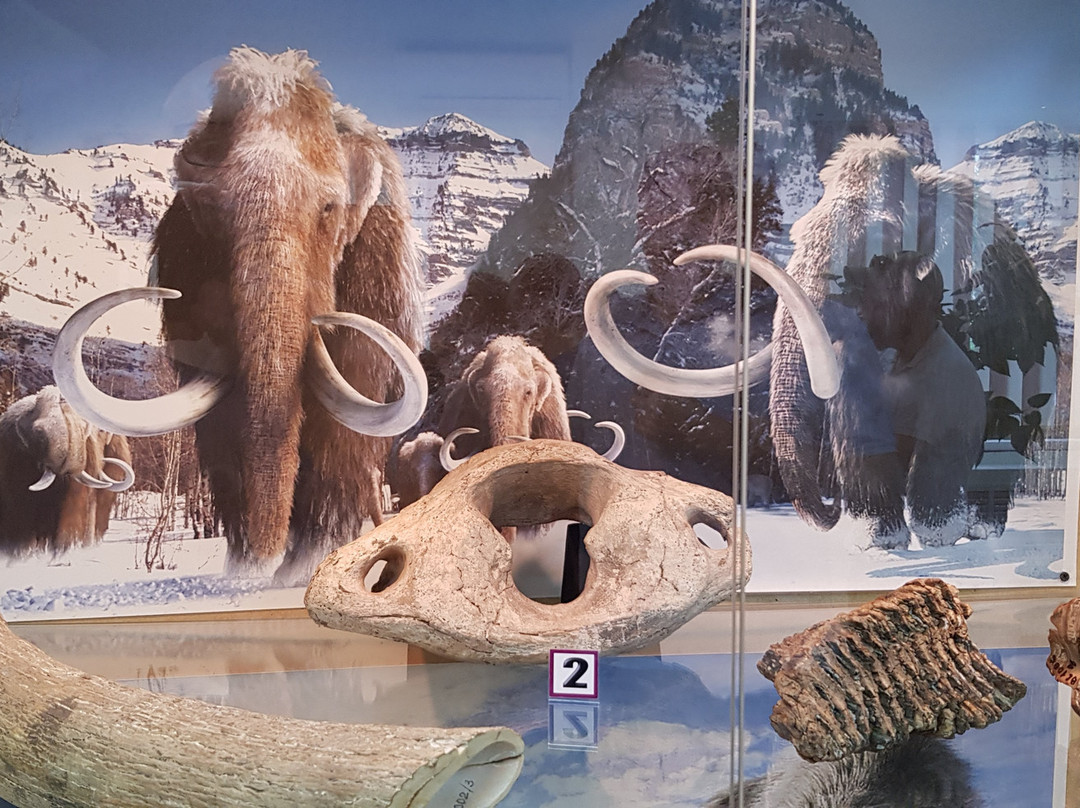 Bodaibinskiy Local History Museum V. F. Vereshhagina-Bodaibo必去景点