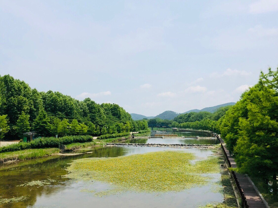 Gwanbangjerim Forest-潭阳郡必去景点