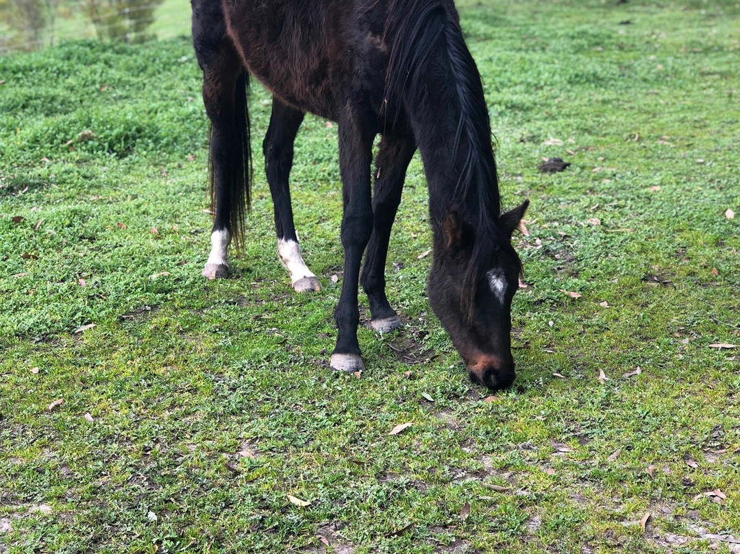 Mira Mira Accomadation主图