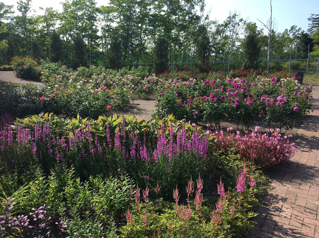 Iwamizawa Service Area Inbound