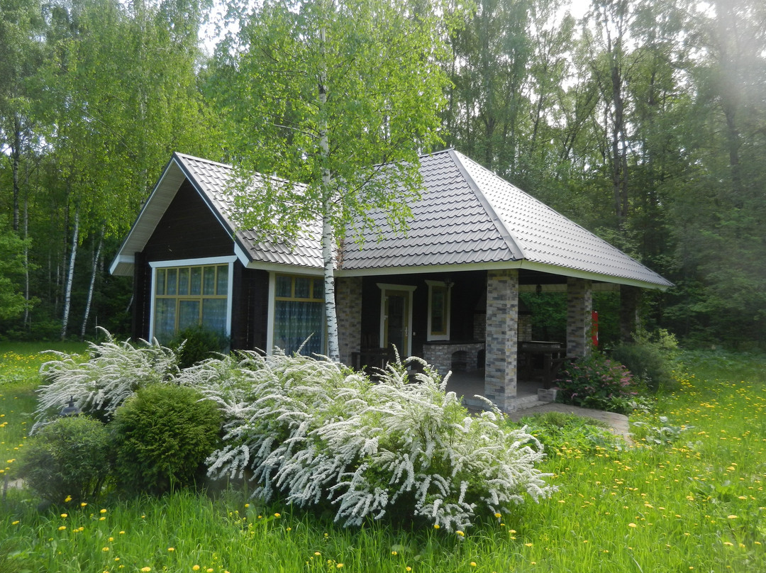 Dom Na Lesnoy Opushke Guest House