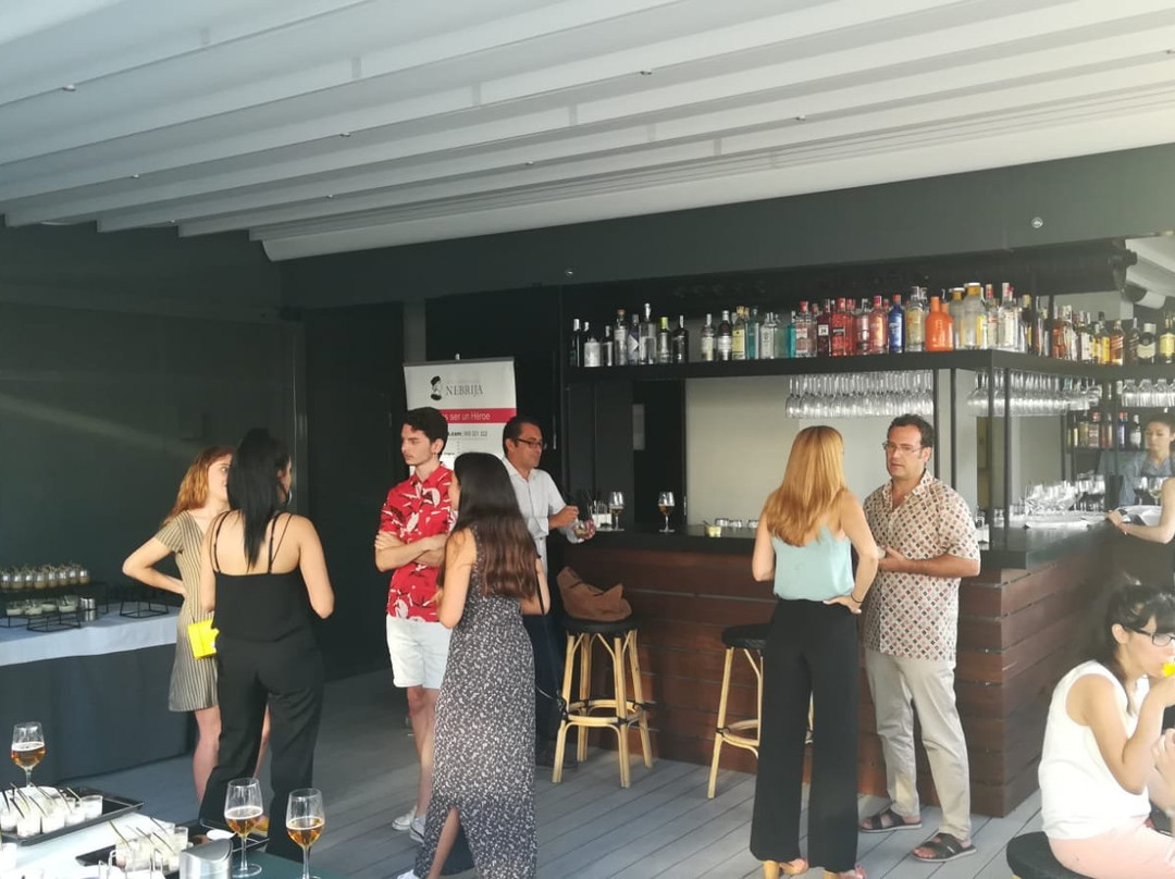 莫里纳拉里欧酒店主图