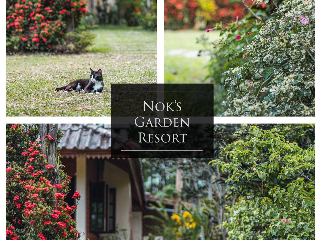 Nok's Garden Resort主图