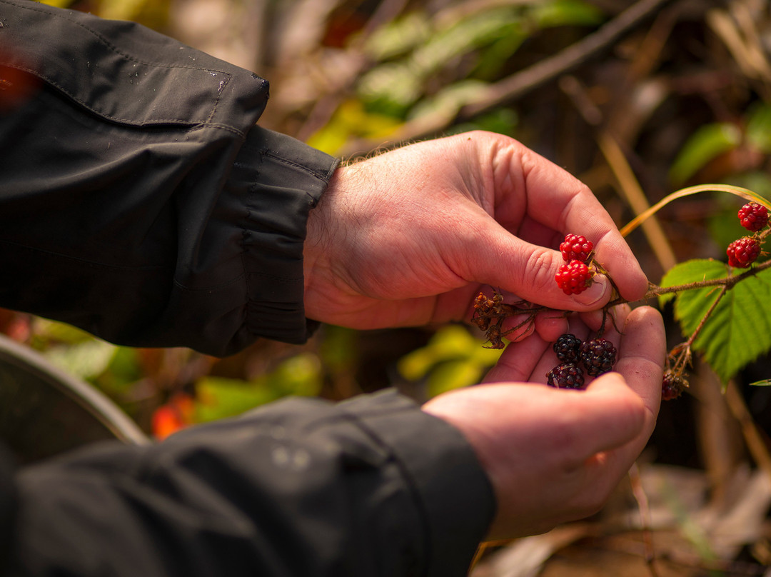 Southern Wild Distillery-Devonport必去景点