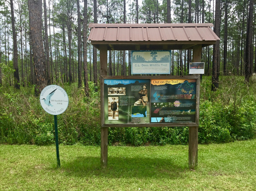 Mississippi Sandhill Crane National Wildlife Refuge景点图片