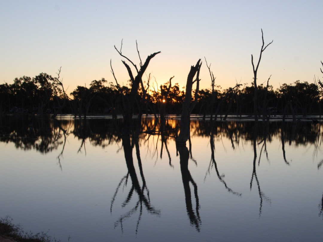 Lara Wetlands景点图片