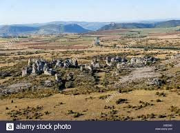 Plateau du Larzac景点图片