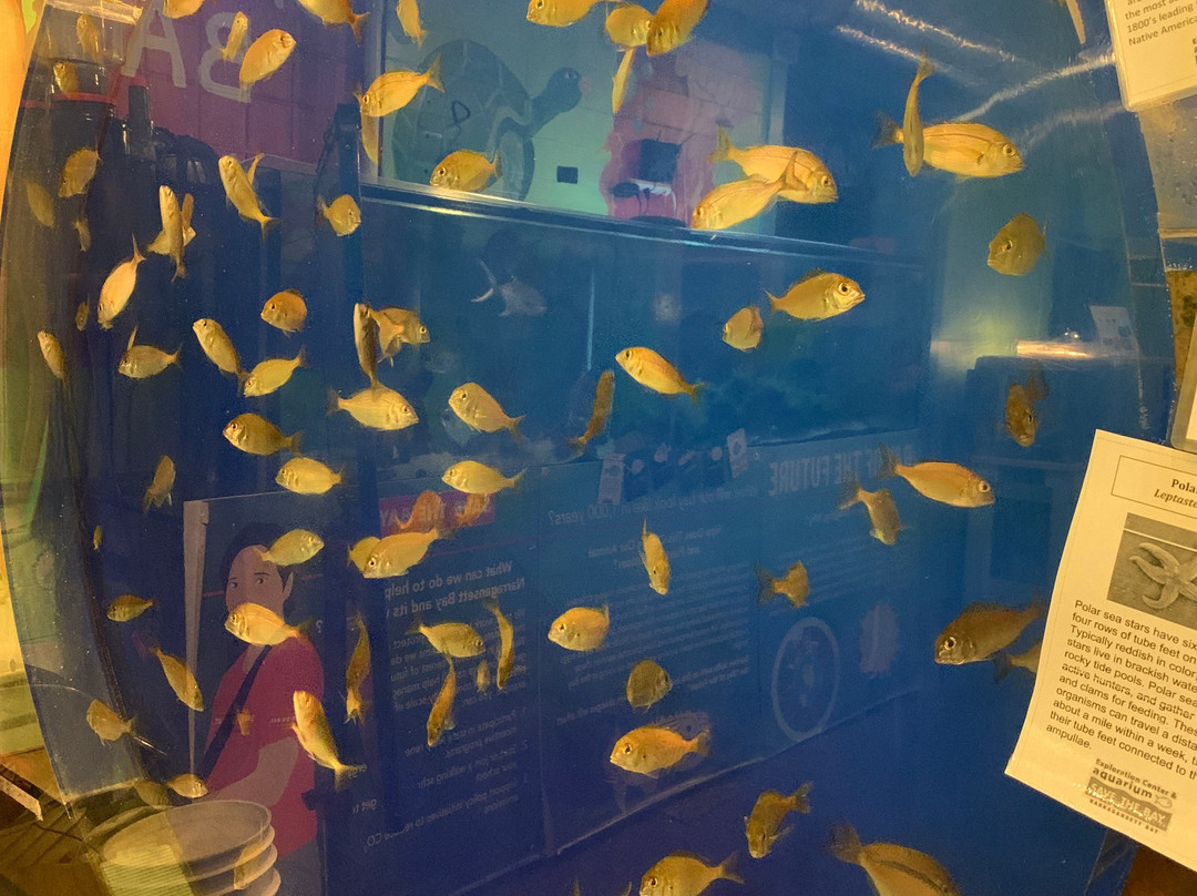 Exploration Center & Aquarium-纽波特必去景点
