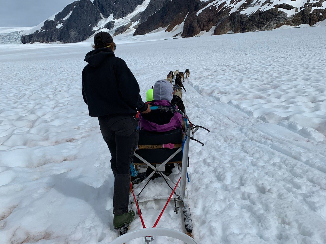 Herbert Glacier-朱诺必去景点