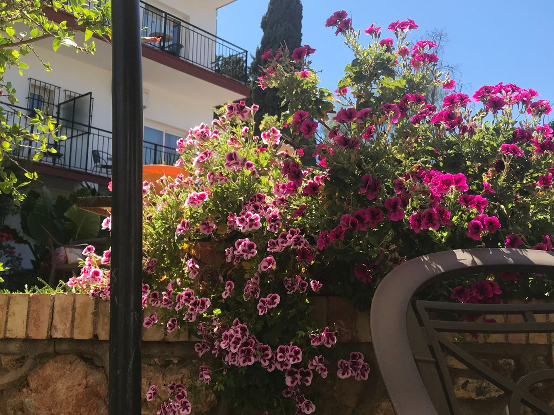 Hotel Carmen Teresa主图