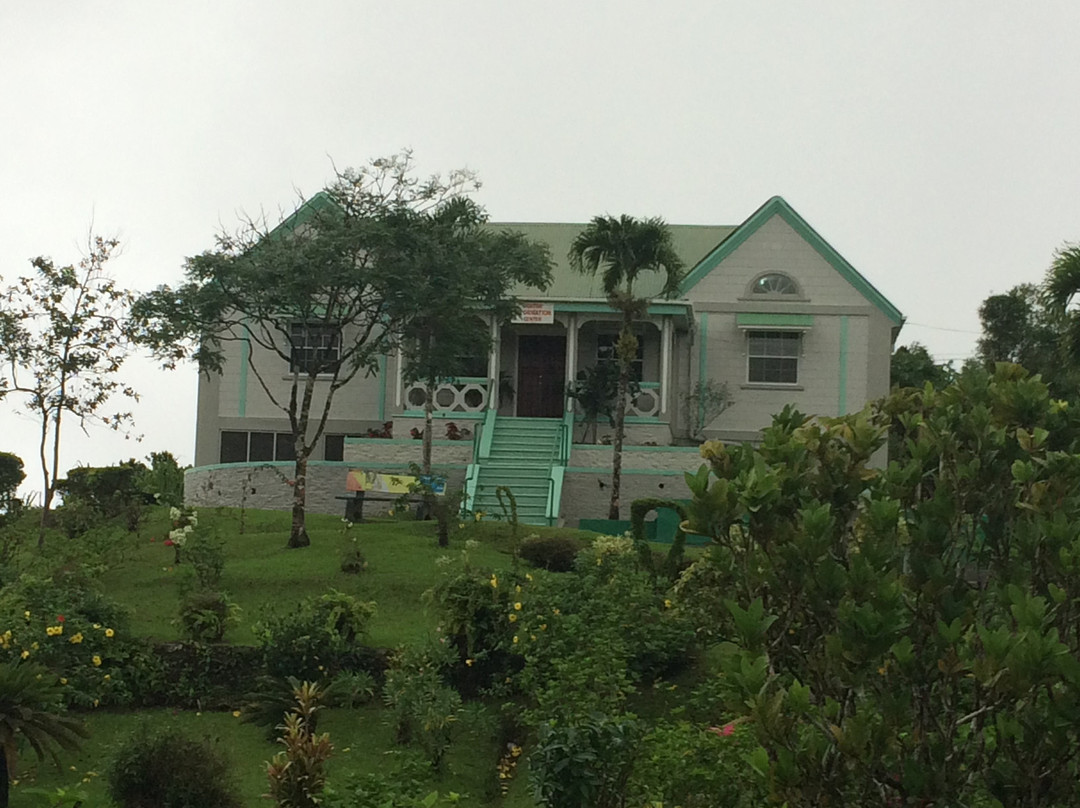 Mandoo's Tour & Taxi Service-St. George's必去景点