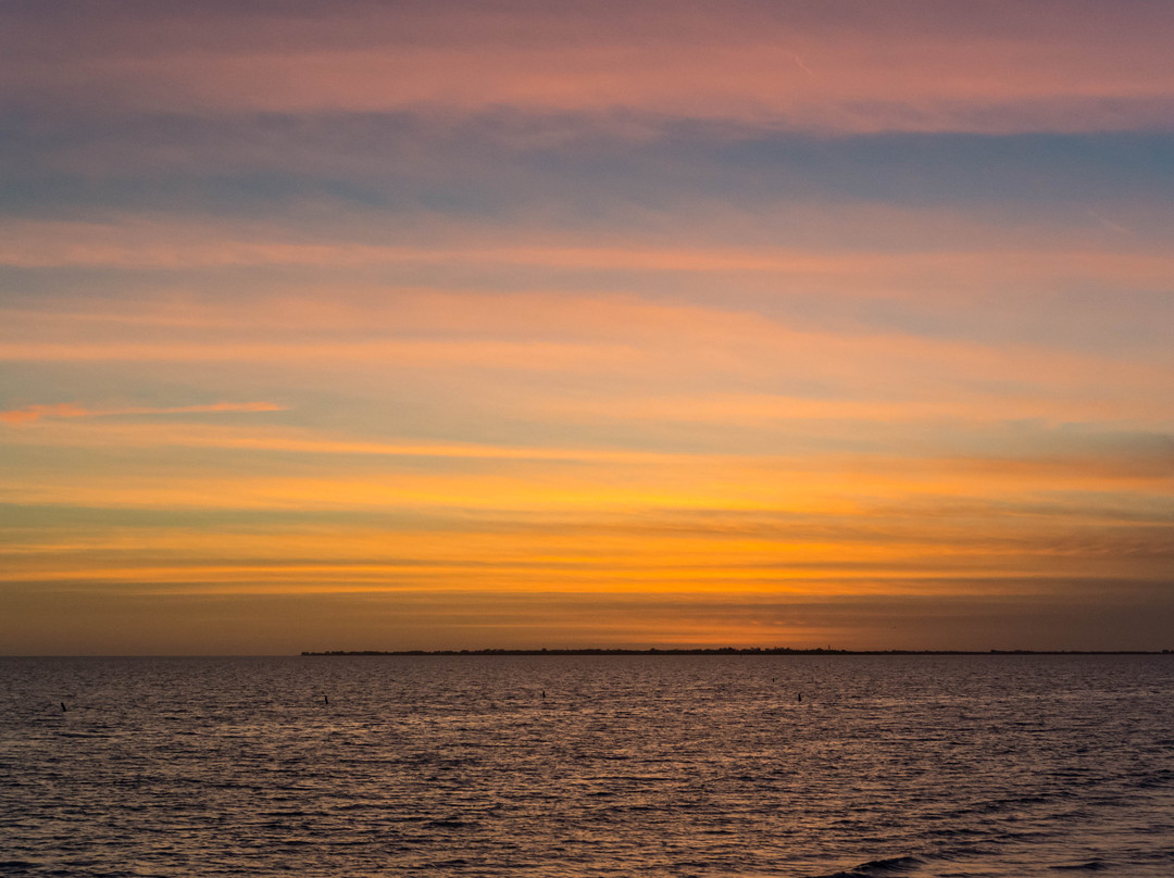 Lynn Hall Memorial Park-迈尔斯堡海滩必去景点