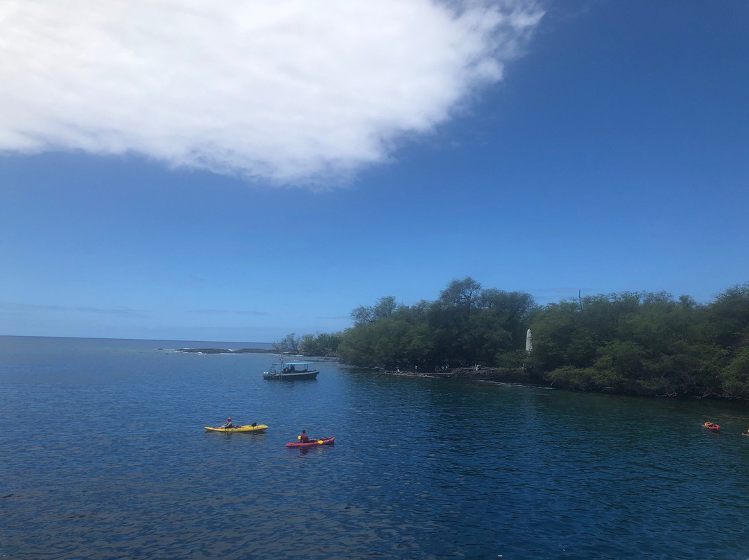 大岛顺风浮潜之旅景点图片