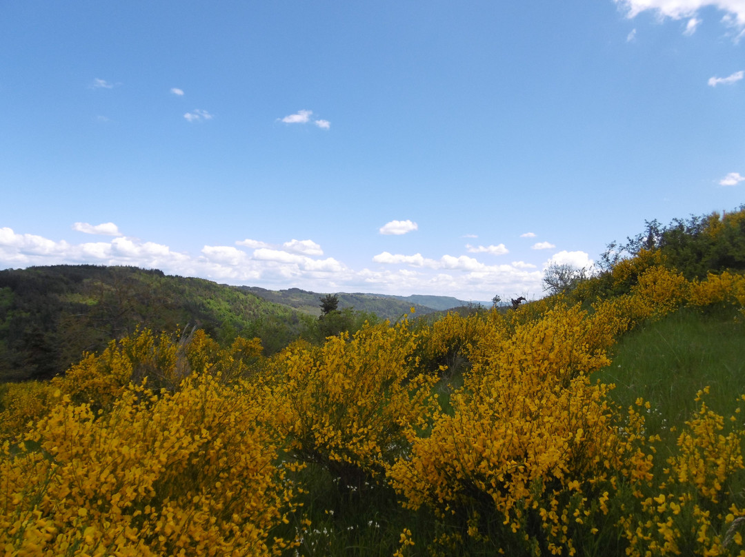 Saint-Julien-d'Ance旅游攻略图片