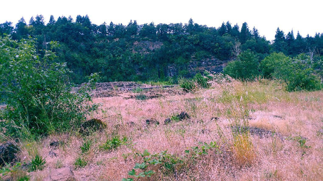 Elk Rock Island-波特兰必去景点