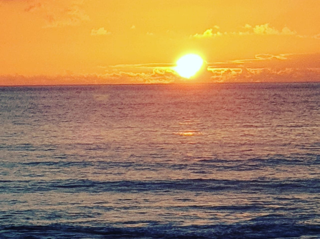 Ocadila Surf School-拉古纳的圣克里斯托波尔城必去景点