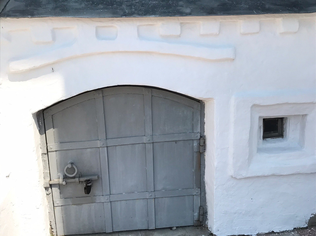 The House of the Ship Owner Mikhail Shorin景点图片
