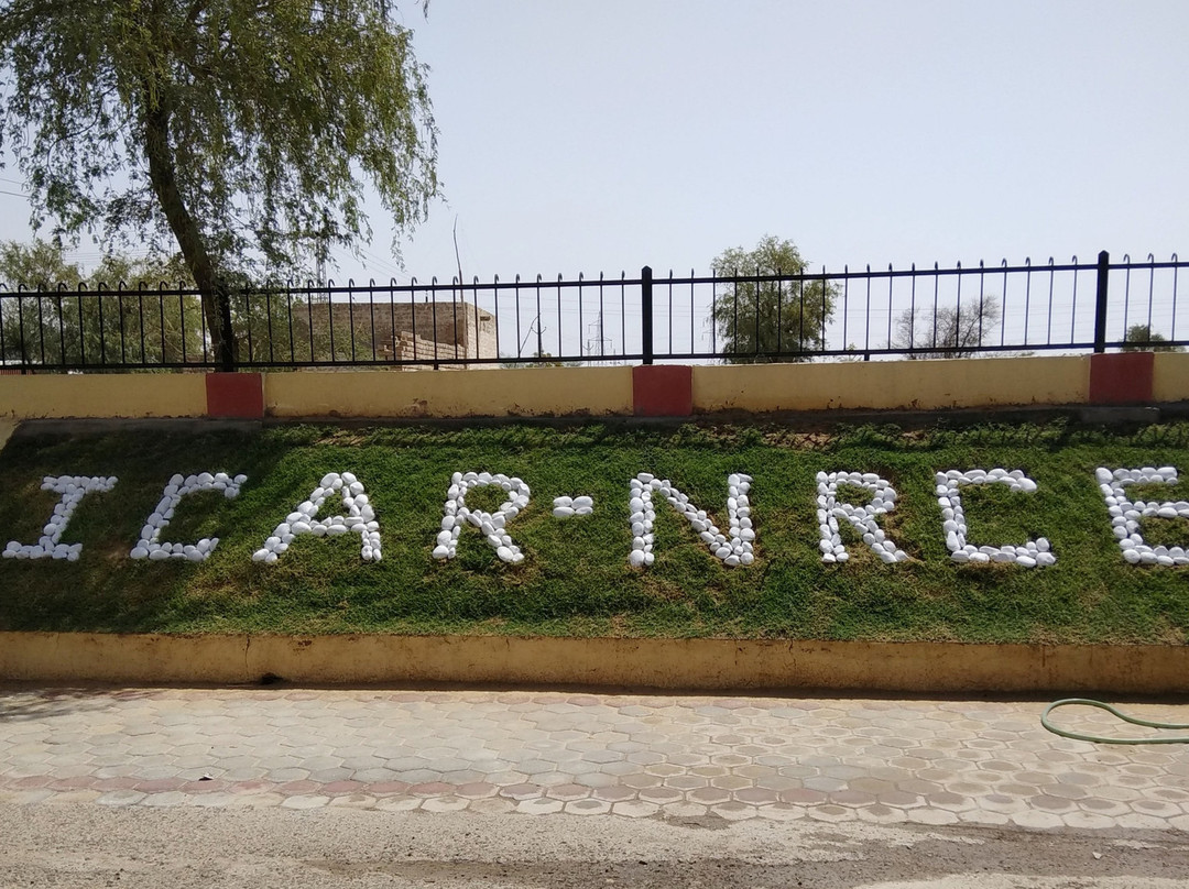 National Research Centre on Equines, Bikaner Campus景点图片