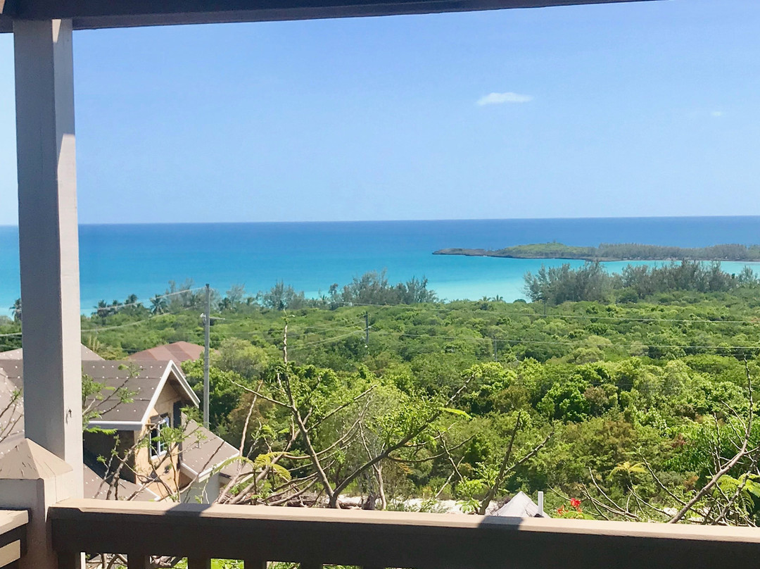 黄蝉别墅山林小屋主图