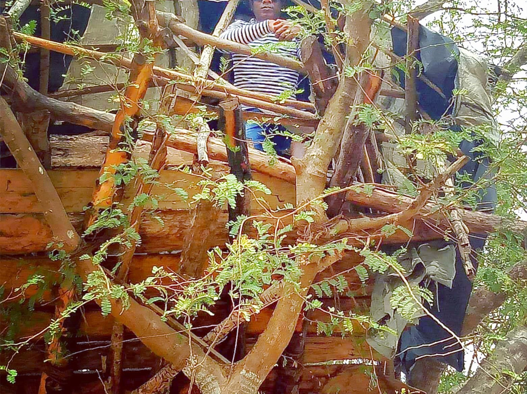 Dimbulagala Monastery-波隆纳鲁瓦必去景点