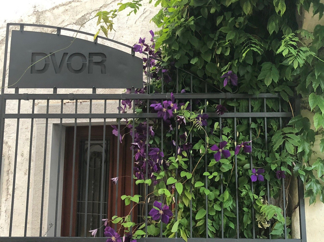 Boutique Hotel Dvor主图