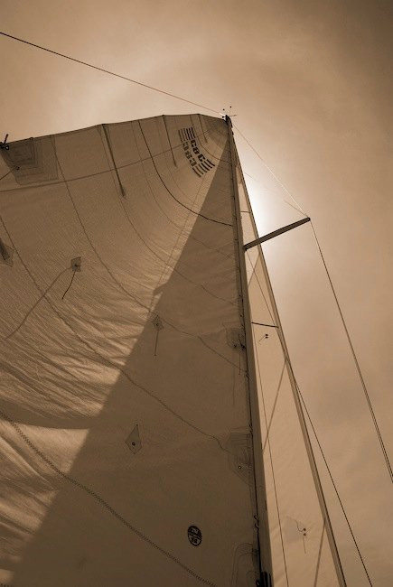 Sailing the Saanich Inlet景点图片