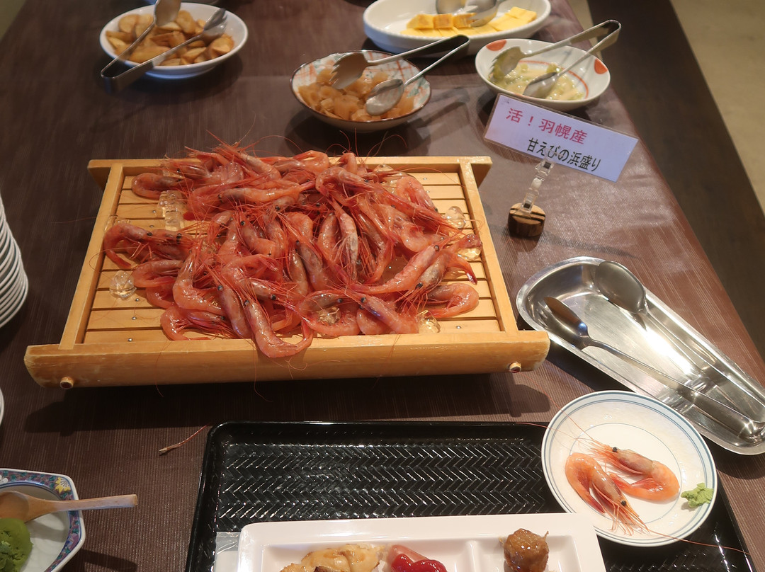 Haboro Onsen Sunset Plaza主图