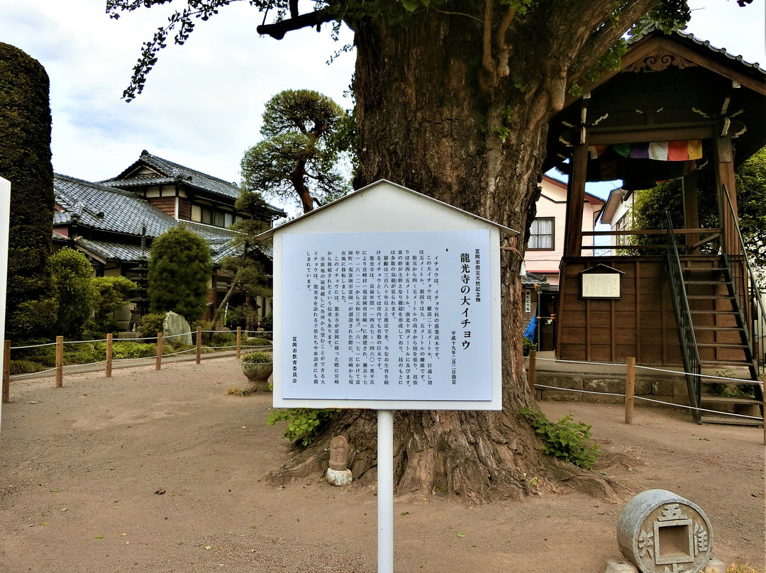 Ryuko-ji Temple景点图片