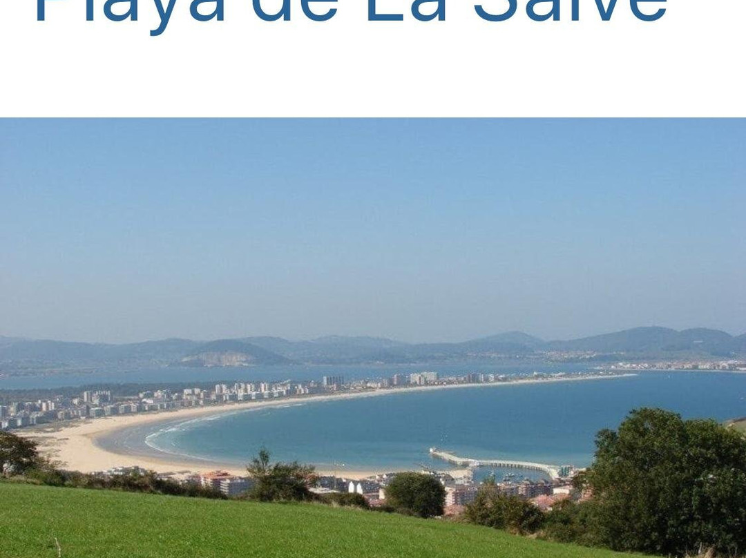 Playa La Salvé景点图片