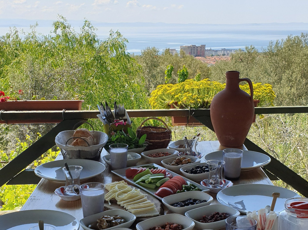 Zeytinci Han Ciftlik Evi