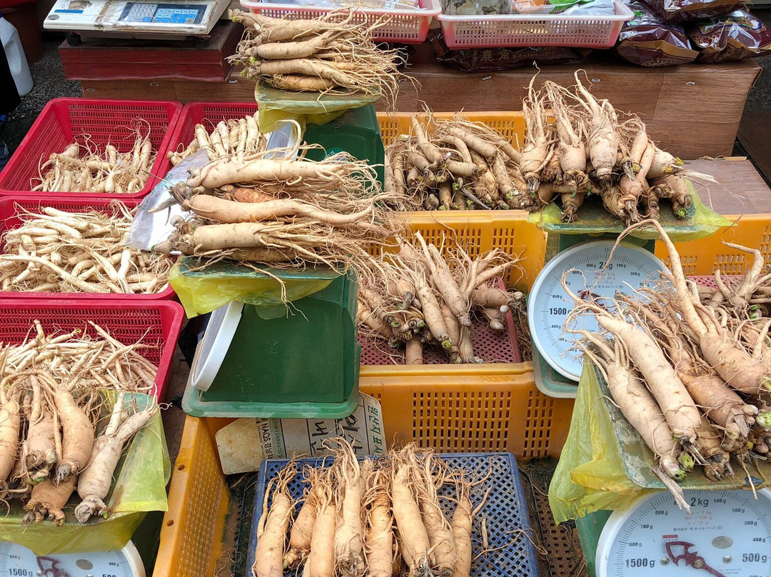 Masan Fish Market-昌原市必去景点