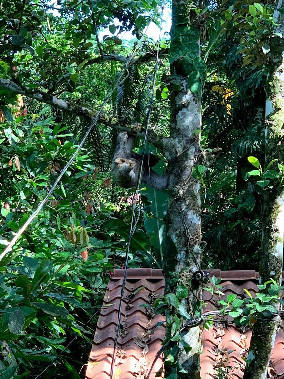 Tierra de Suenos Lodge主图