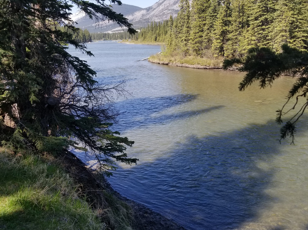 Bow Valley Provincial Park-卡那那斯基斯必去景点