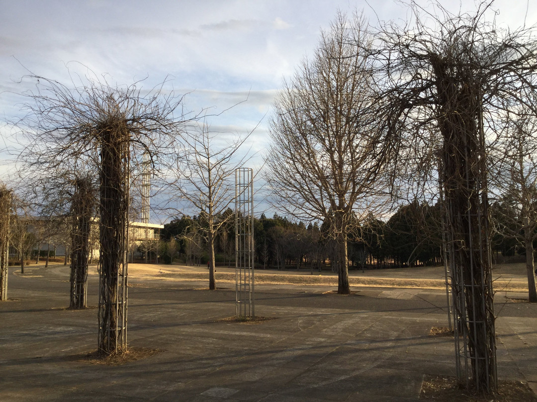 Tsukuba EXPO '85 Memorial Park景点图片