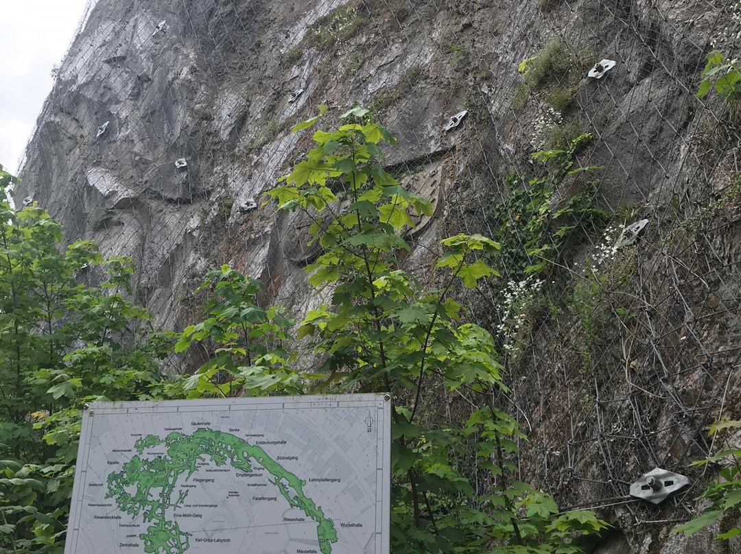 Noctalis - Welt der Fledermäuse-Bad Segeberg必去景点