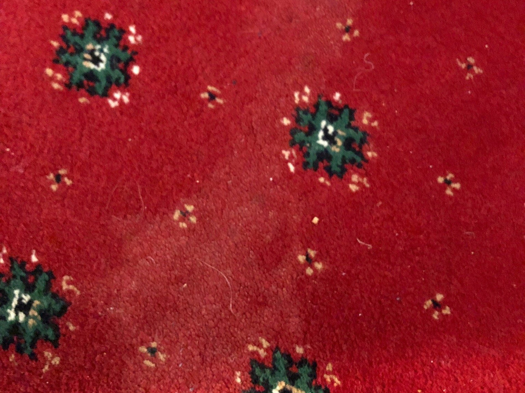 Buckingham's Hotel主图
