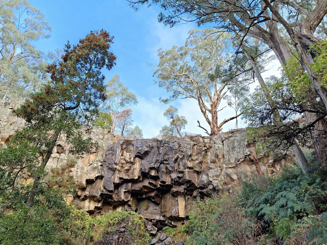 Sailors Falls & Mineral Springs