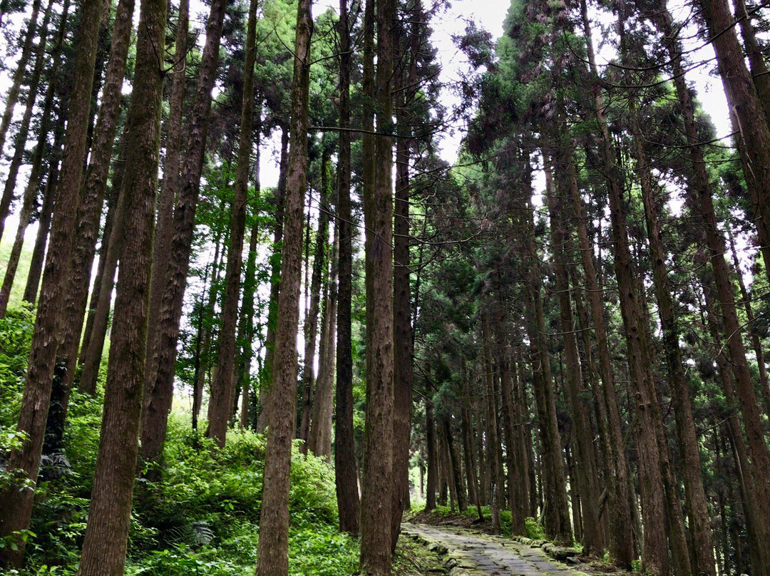 Tatsumonjizaka景点图片