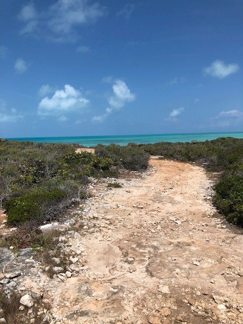 Pirate's Cove-普罗维登西亚莱斯必去景点