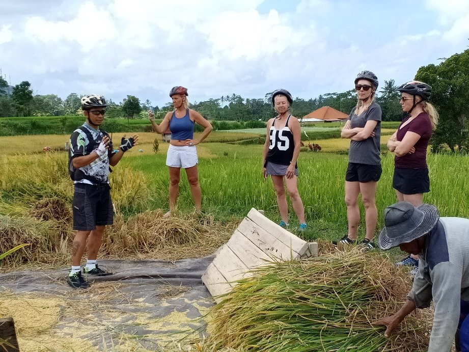 Bali Bike Tour景点图片