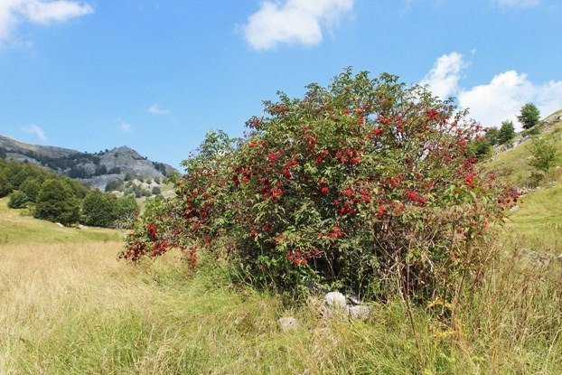 Umoljani round tour-Trnovo (FBiH)必去景点