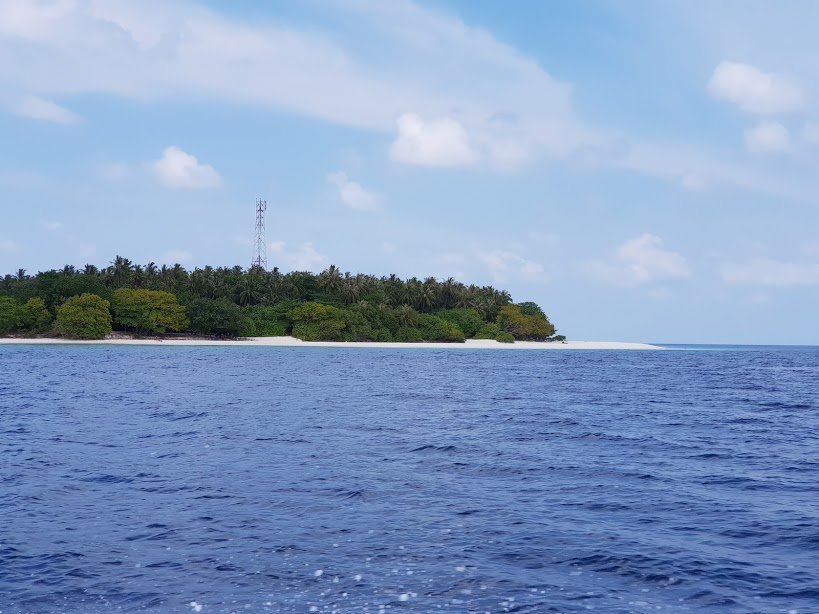 Tropical Biosphere Hotel-泳池
