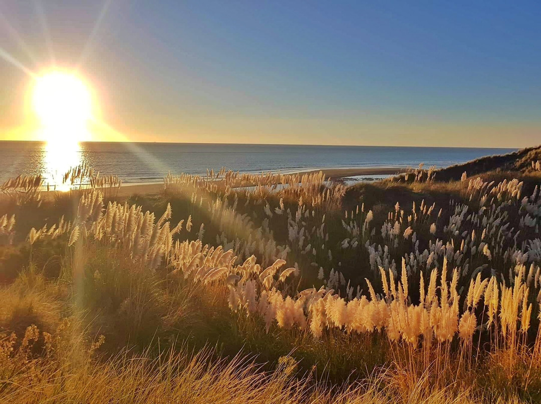 Kawhia Hot Water Beach景点图片