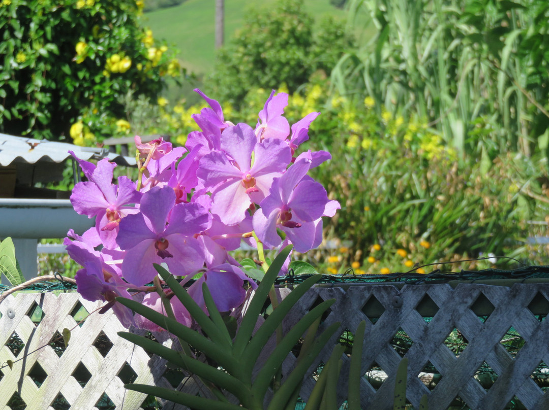 Chambres d'Hotes Nicole Maillot主图