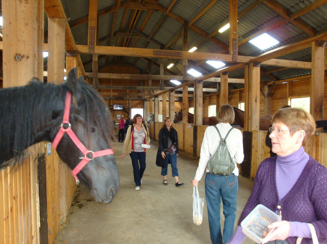 100 CHEVAUX SUR L'HERBE景点图片