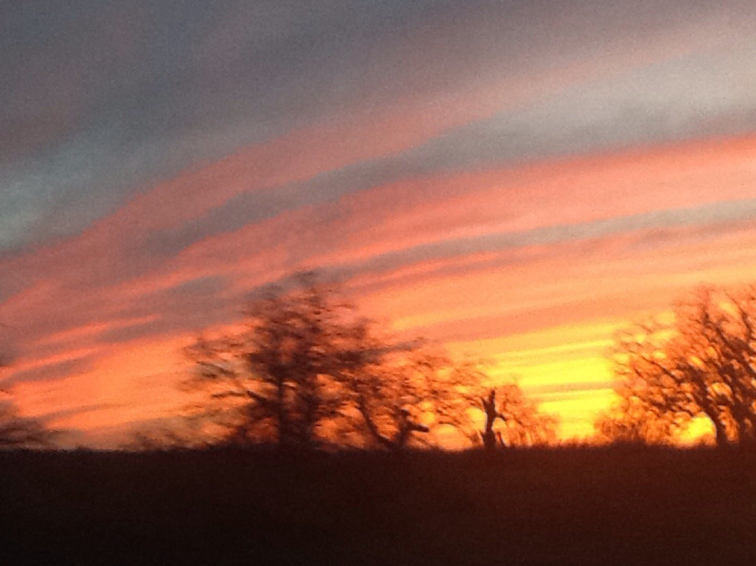 Lake LBJ-Burnet必去景点