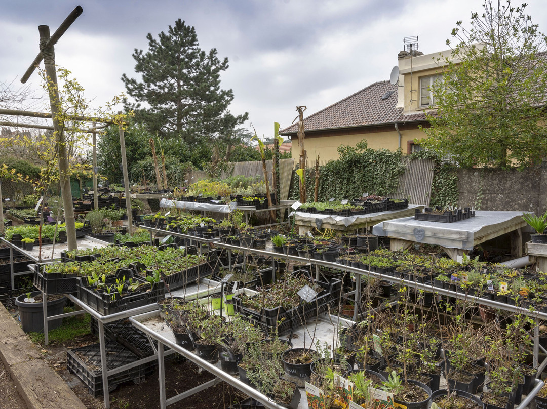 Jardinerie de Curiosités Taffin景点图片