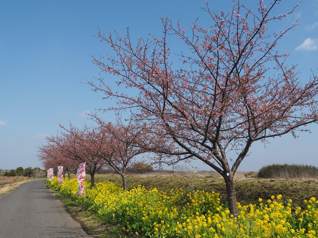 Narita Cycling Tour-白井市必去景点