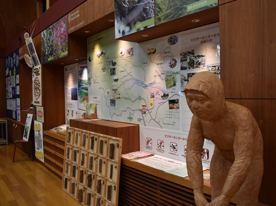 Ise-Shima National Park Yokoyama Visitor Center-志摩市必去景点