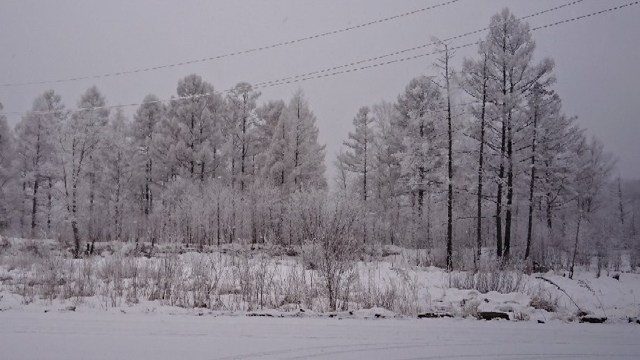 Kuldur旅游攻略图片